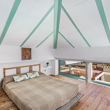 Agro Surf House *